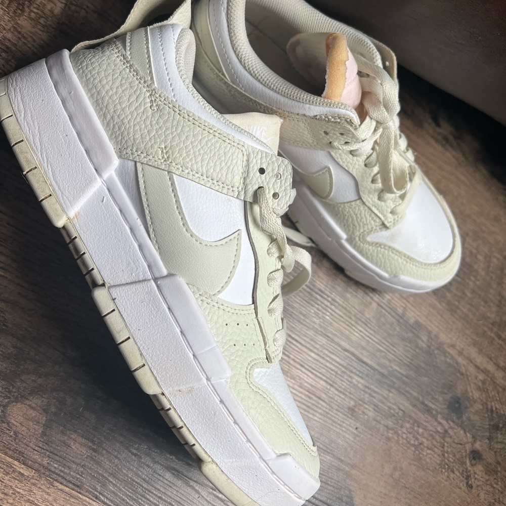 Nike dunk disrupt